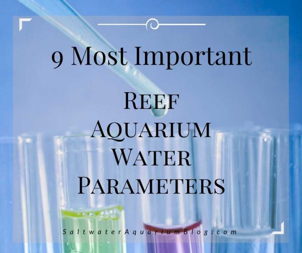 Reef Aquarium Water Parameters Chart