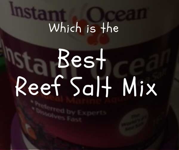 Reef Salt Comparison Chart