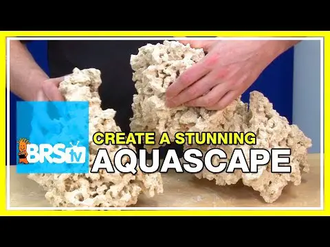 Week 11: Simple Ways to Create the Perfect Aquascape. | 52 Weeks of Reefing