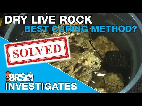 What&#039;s the most effective rock curing method? | BRStv Investigates