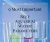 9 Most Important Reef Tank Aquarium Water Parameters