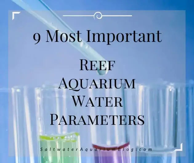 Wie Gezondheid embargo 9 Most Important Reef Tank Parameters - test these ideal aquarium levels