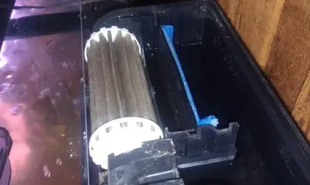 Aquarium filters aren't very common pieces of equipment