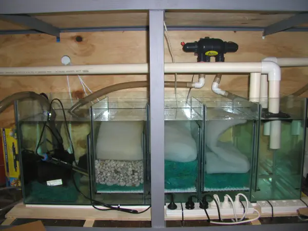 Clean filter as part of reef tank maintenance
