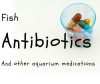 fish antibiotics and other aquarium medications