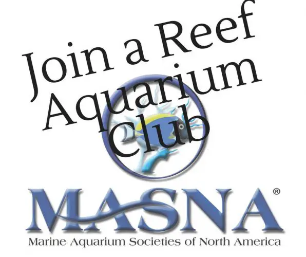 join a reef aquarium club
