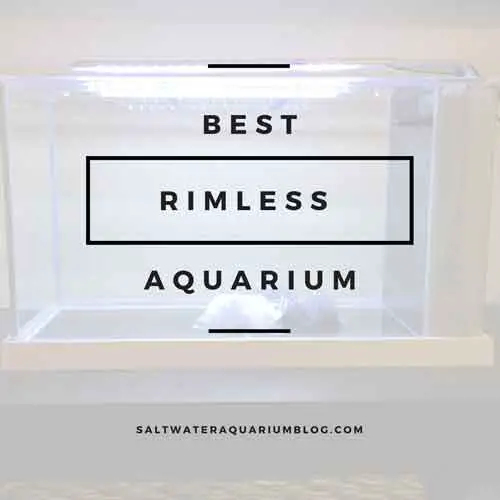 best rimless aquarium