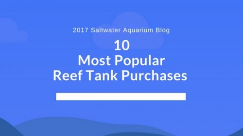 10 Most Popular Reef Tank Purchases