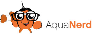 Aqua Nerd is one of the best saltwater aquarium blogs for technical information