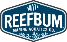 ReefBum is one of the best saltwater aquarium blogs for SPS corals