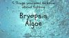 5 Things you need to know about fighting bryopsis algae