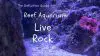 definitive guide to reef aquarium live rock