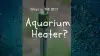 What is the best aquarium heater?