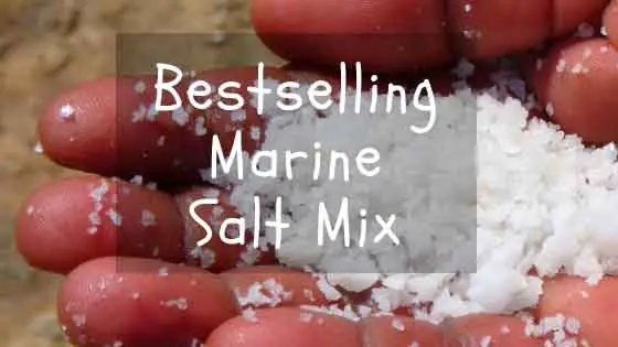 bestselling marine salt mix