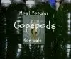most popular copepods for sale