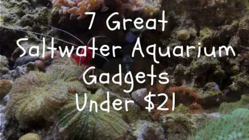 7 great saltwater aquarium gadgets under 21 dollars
