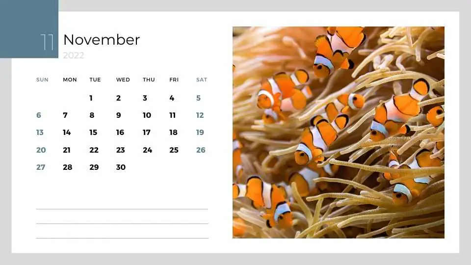 clownfish calendar