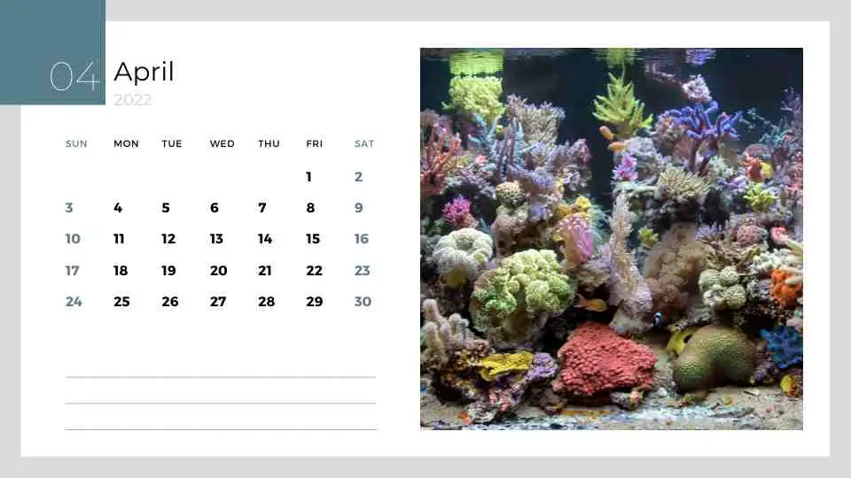April reef aquarium calendar PDF