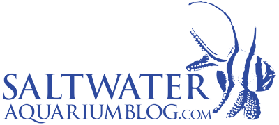 Saltwater Aquarium Blog