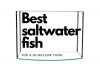 Best saltwater fish for a 20 gallon tank