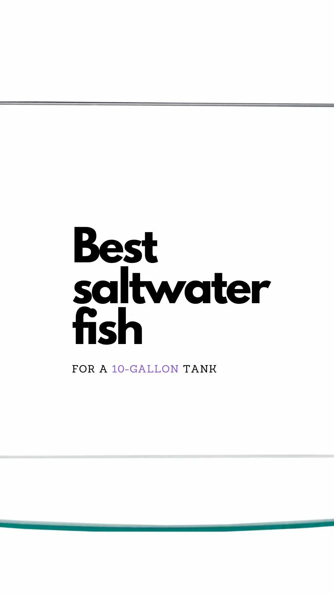 best fish for 10 gallon saltwater tank pinterest pin