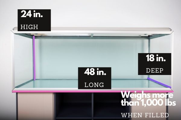 90 Gallon Tank Dimensions and weight