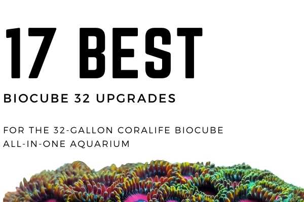 17 Best BioCube Upgrades