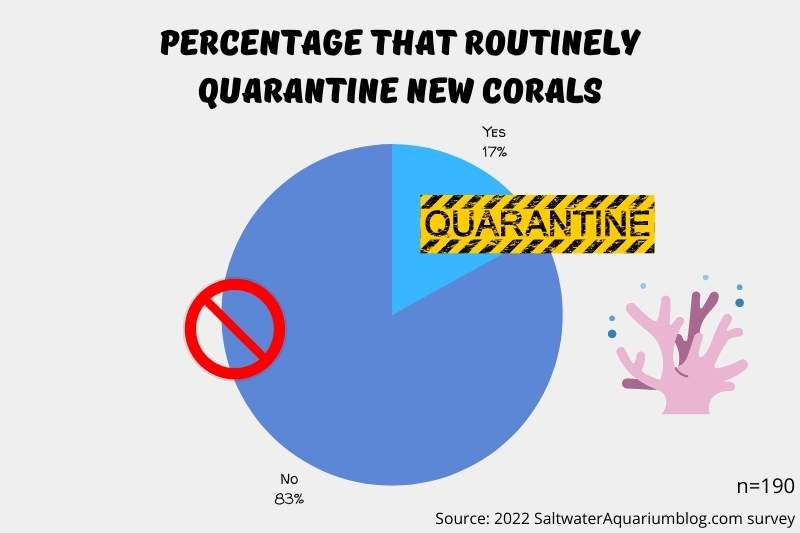 This infographic shows the statistic that 17% of 190 respondents routinely quarantine new corals before putting them in their display tank. 83% do not