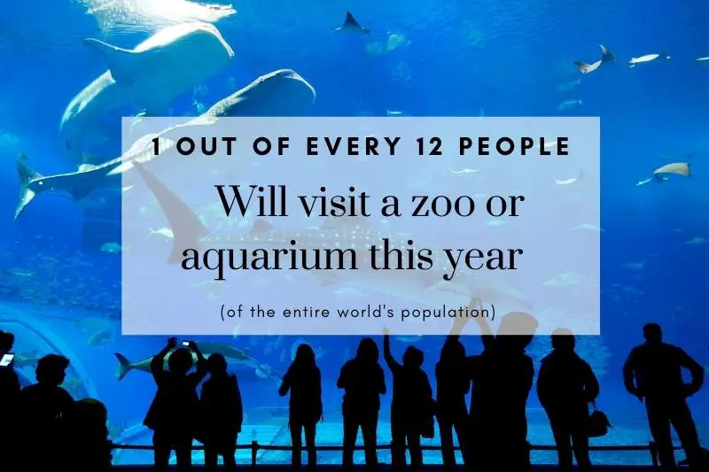 1 out of every 12 people will visit a zoo or aquarium this year