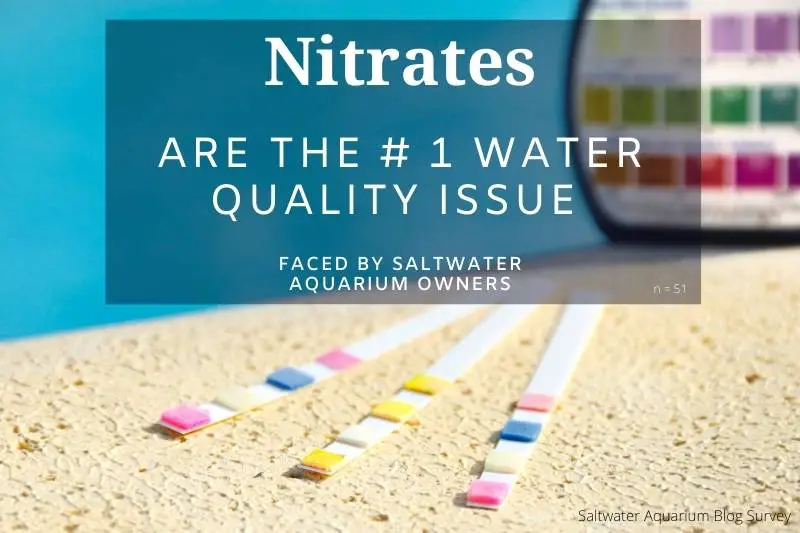 Aquarium statistic: nitrates are the number one water quality issue faced by aquarium owners