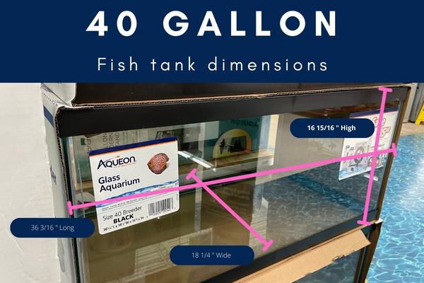 40 gallon fish tank dimensions: inches, centimeters, weight