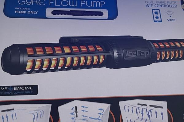 Gyre flow pump